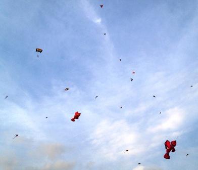 Kite flying at Marina Barrage